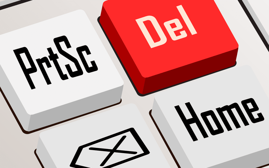 Deleting a WordPress Plugin