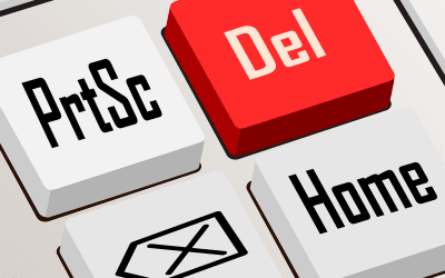 Deleting a WordPress Plugin