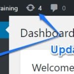 WordPress Updates Tutorial