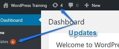 WordPress Updates Tutorial