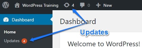 WordPress Updates Tutorial