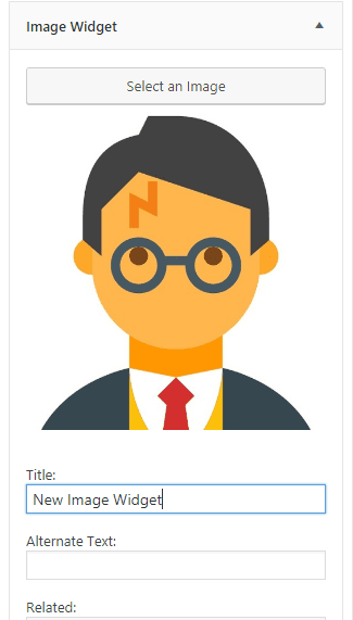 How to use the New Image Widget