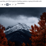 Adding an Image in Gutenberg