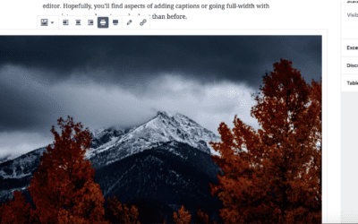 Adding an Image in Gutenberg