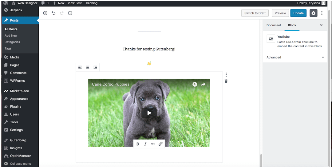 Adding a Video in Gutenberg Editor