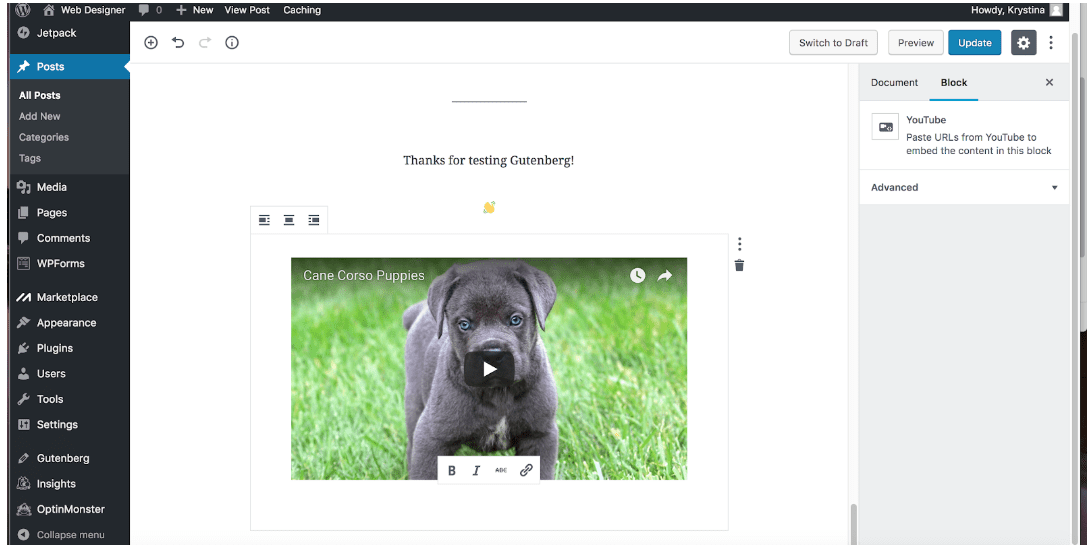 Adding a Video in Gutenberg Editor