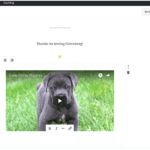Embedding Youtube and Vimeo videos in Gutenberg WordPress 5.0