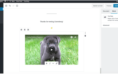 Embedding Youtube and Vimeo videos in Gutenberg WordPress 5.0
