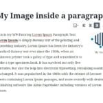 Gutenberg - Adding an Image to the paragraph block