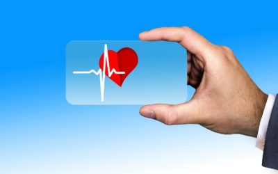 How to use WordPress Health Check