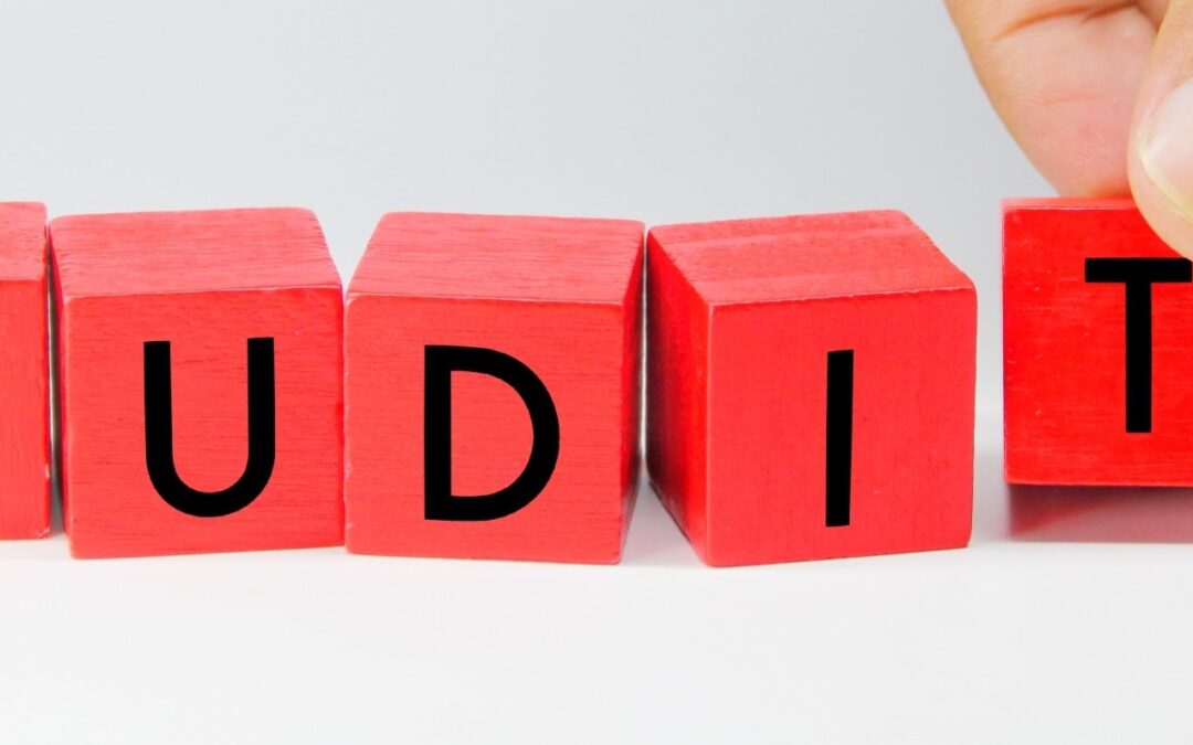 WordPress Auditing Plugins – Not Big Brother – Smart Management