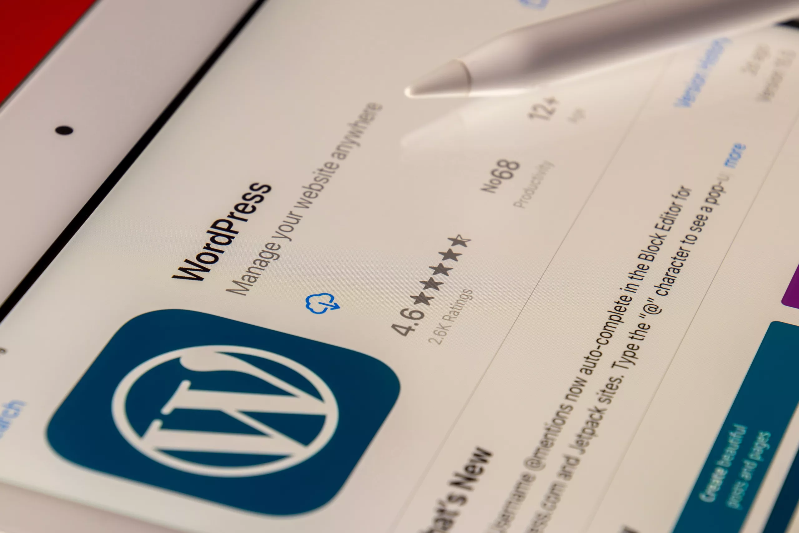 Why WordPress is Better than SquareSpace and Wix